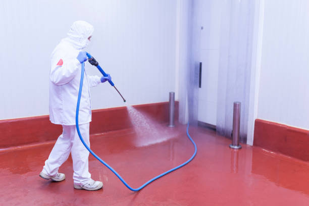 Best Brick and Stone Cleaning in St Cloud, MN