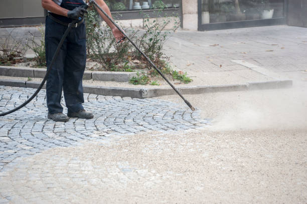 Best Roof Cleaning and Mildew Removal in St Cloud, MN