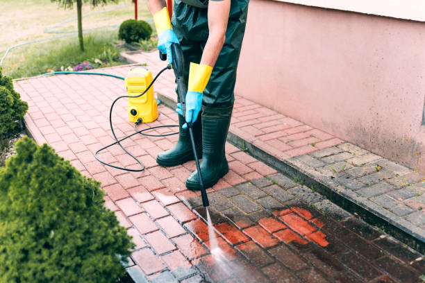 Best Soft Washing for Delicate Surfaces in St Cloud, MN